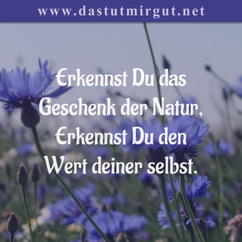 Unser Achtsamkeits-Spruch Der Woche Zum Thema Hildegard Von Bingen