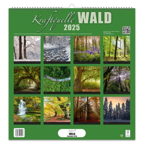 Dekokalender 2025 – Kraftquelle Wald