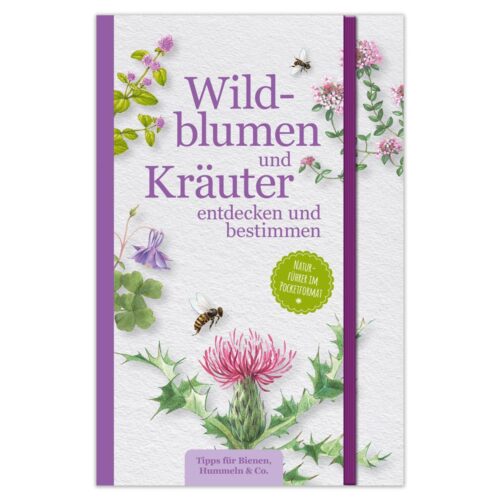 Wildblumen und Kräuter entdecken und bestimmen